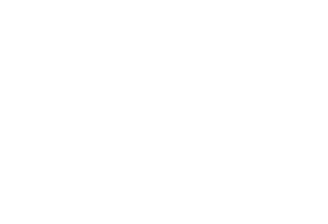 hwang-bishop logo